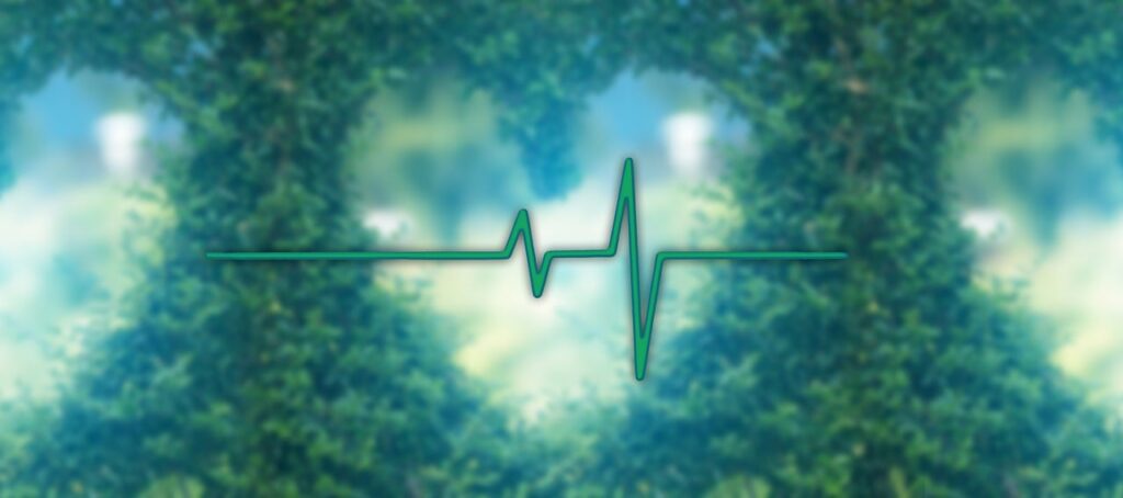 heart rate