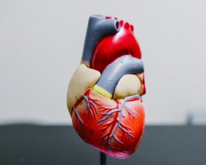 ldl cholesterol